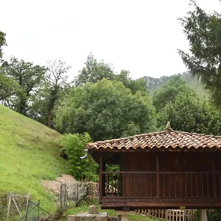 Rurales Buxil * Amieva