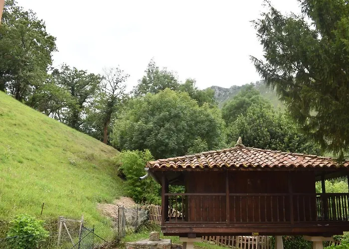 Rurales Buxil * Amieva